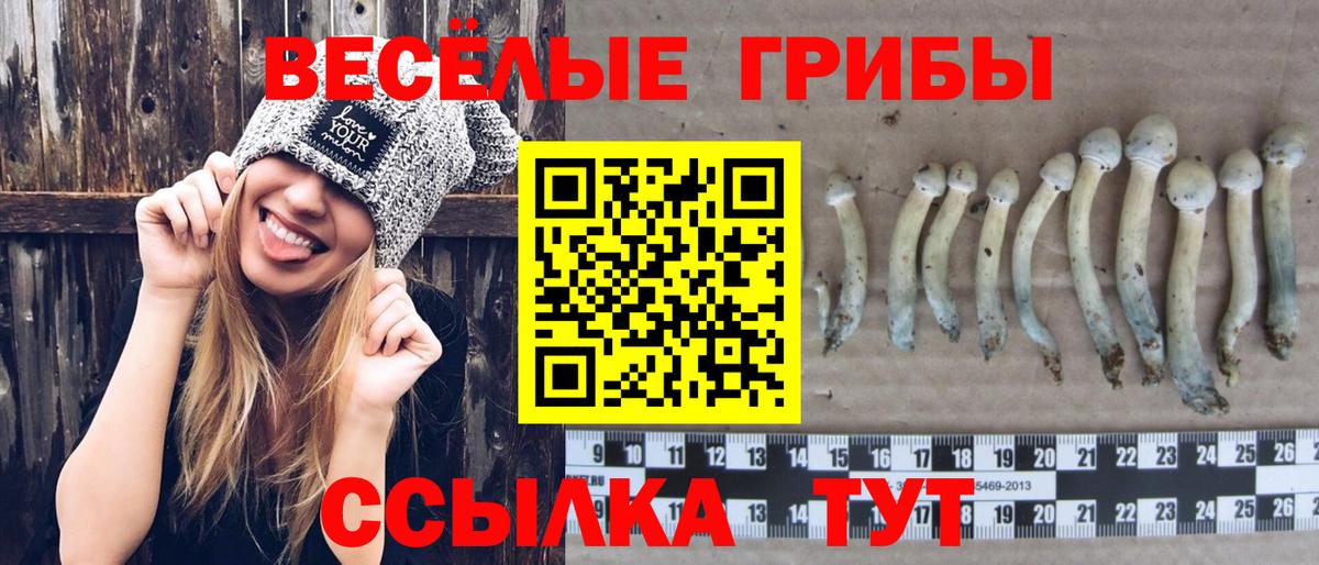 Псилоцибиновые грибы MAGIC MUSHROOMS Великий Устюг