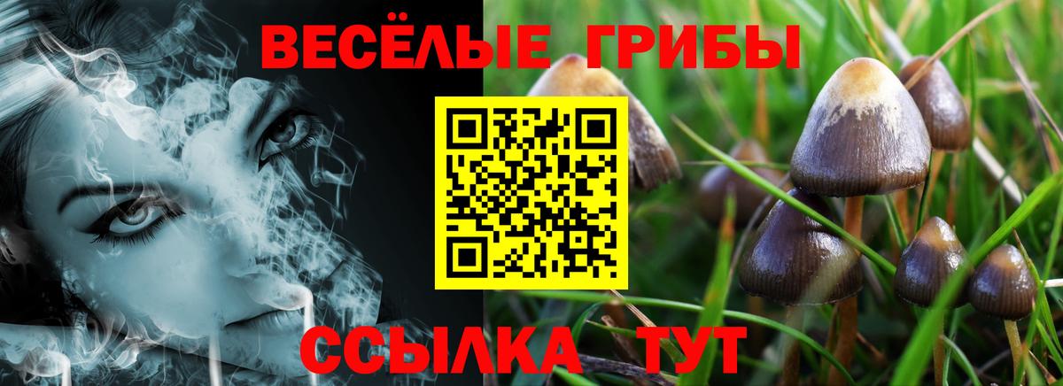 Галлюциногенные грибы ЛСД  закладка  Великий Устюг  Вход с VPN 